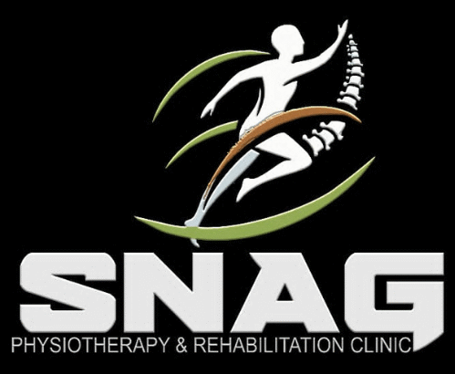 snagphysiorehab.in